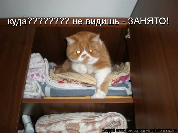 занят где дадут. очень занят. занят где дадут.