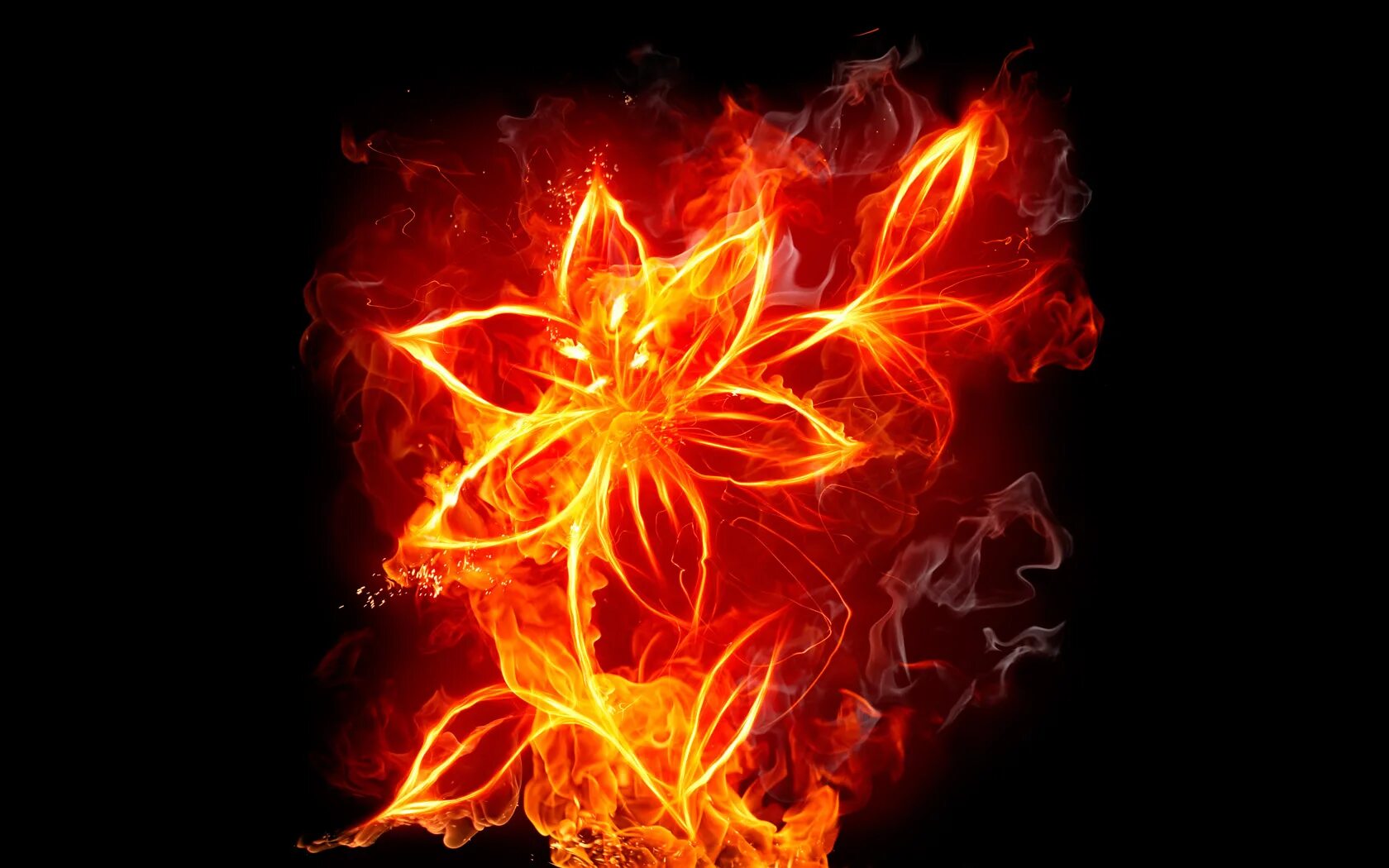 Огненный цветок. Пламенный цветок. Огненные обои. Огненные фигуры. Цветы деньги и огонь