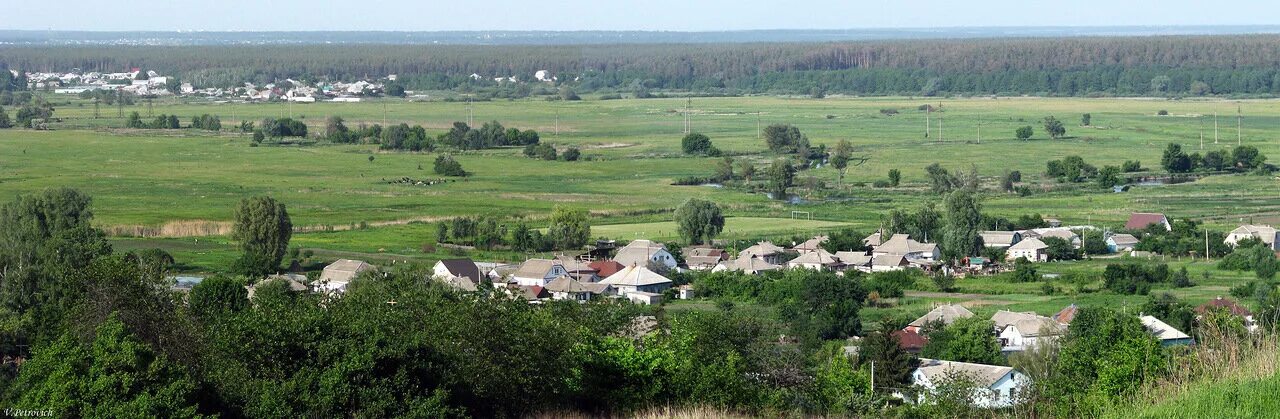 Боровая харьковской области сегодня. Село Шелудьковка Змиевского района Харьковской области. Боровая Харьковская область. Село Боровая Изюмский район. Уды Харьковская обл.