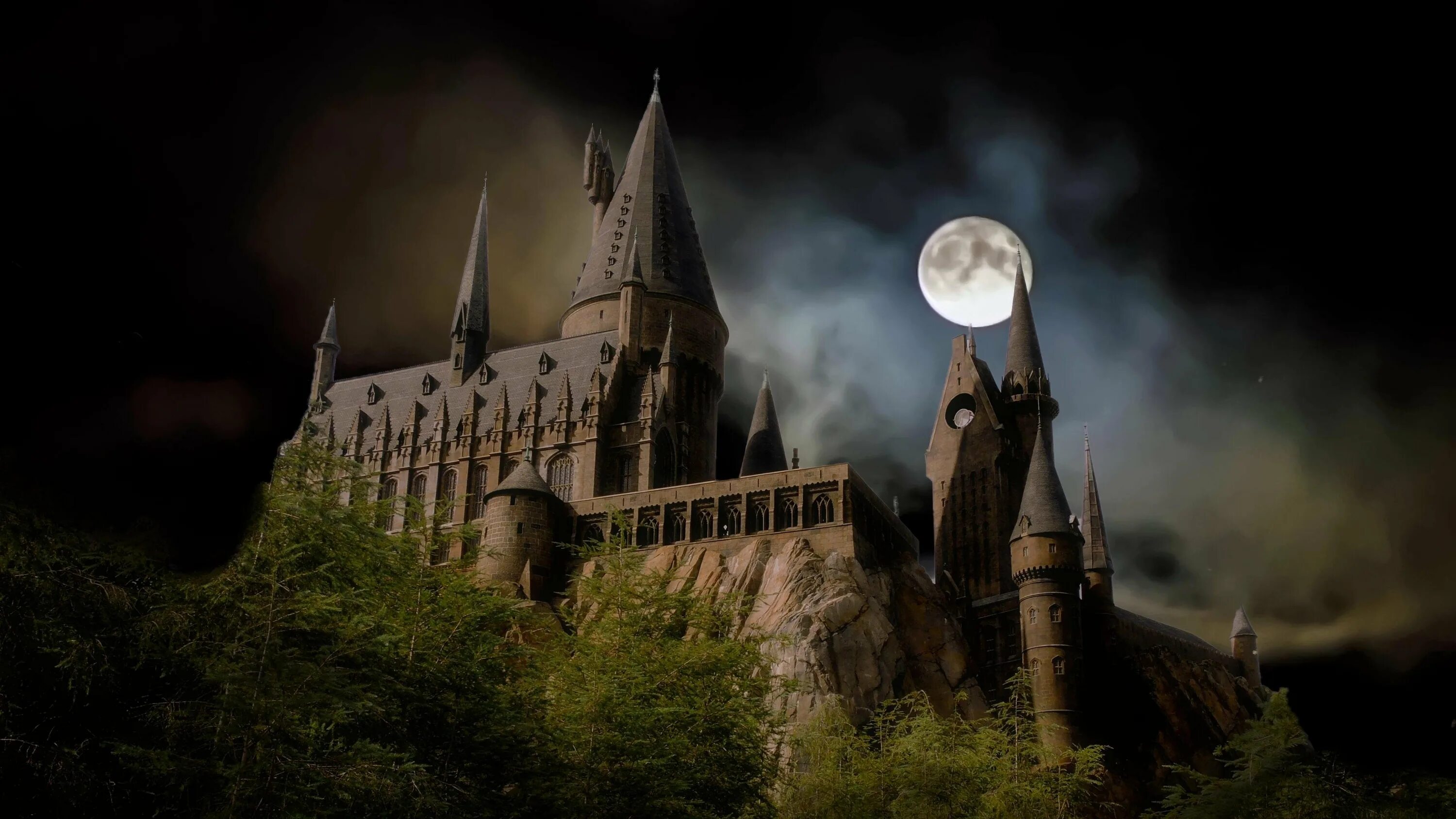 Harry potter sonic