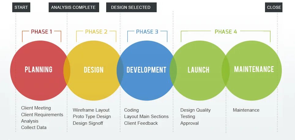 Web type. Web Development Stages. Phase дизайн. Website Development process. Process Design.