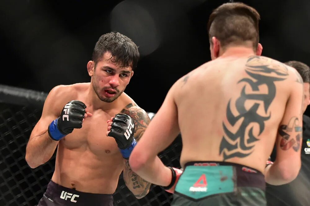 Ройвал ufc
