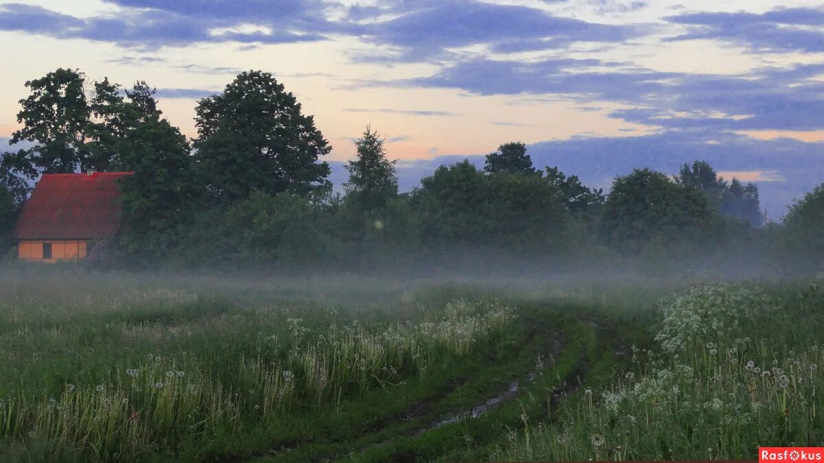 ох ты ночка луговая. сенокосная пора. ночка луговая. ночка луговая сенокосная пора. ночка луговая сенокосная пора.