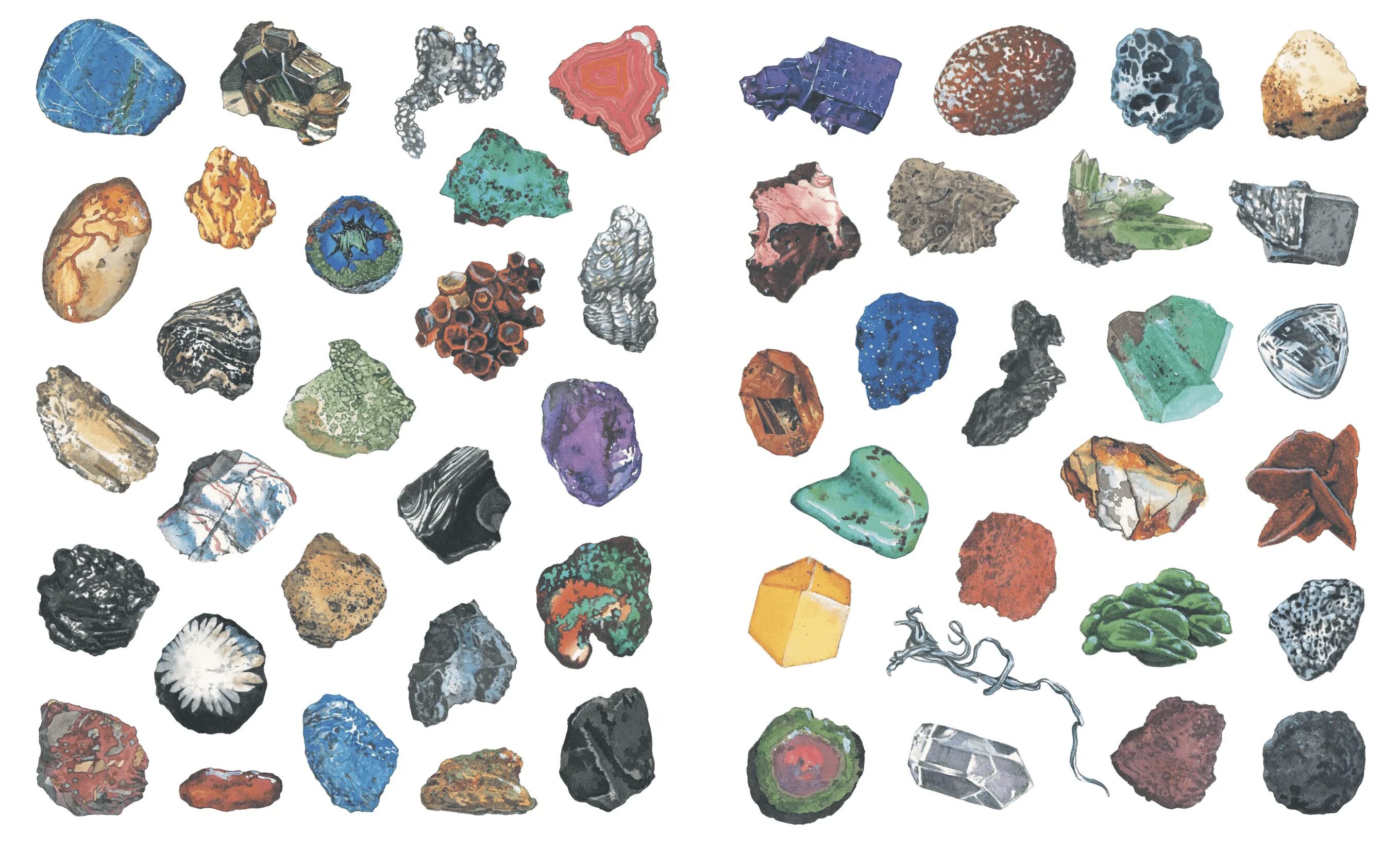 Минералы руды горные породы. Коллекция минералов и горных пород. Коллекция минералы и горные породы 20 видов. Коллекция минералы и горные породы 49 видов. Коллекция "минералы и горные породы" (48 видов).