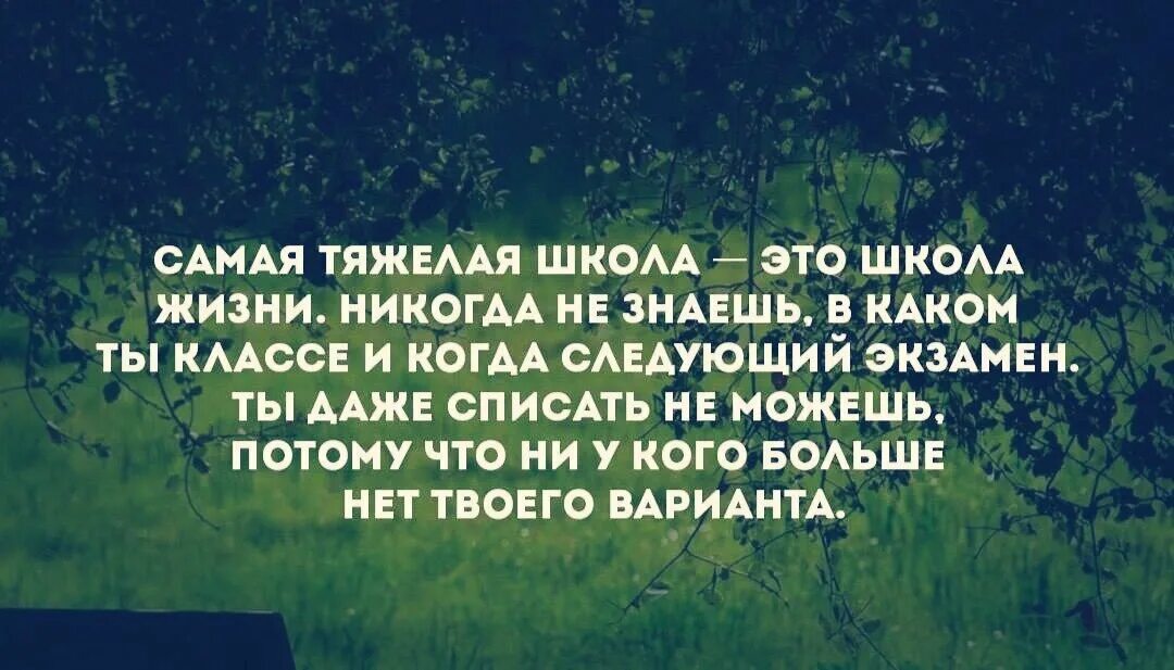 Жизнь это экзамен. Цитаты про экзамен жизни. Жизнь это школа цитаты. Жизнь это экзамен афоризмы.