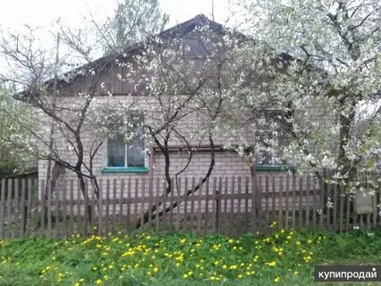 Дом в витебской