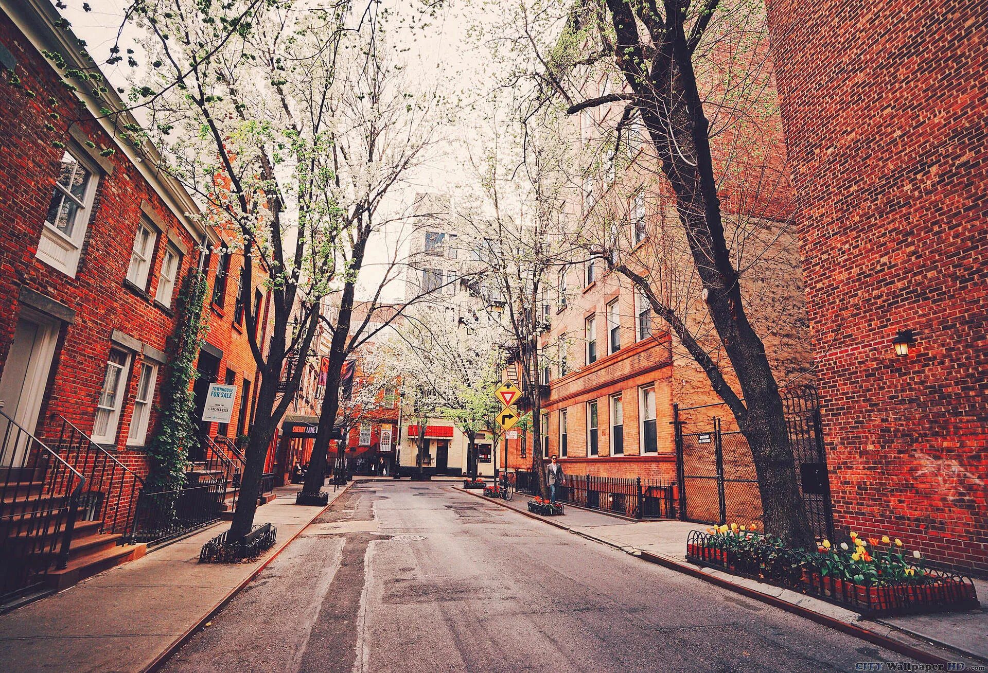 New york city streets. Вест-Виллидж Нью-Йорк. Спринг стрит Нью-Йорк. 61 Улица Нью-Йорка. Нью Йорк улицы Америки фон.