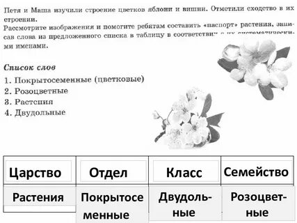 Плод семя цветок впр