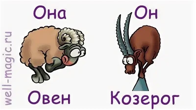 Козерог и козерог постель