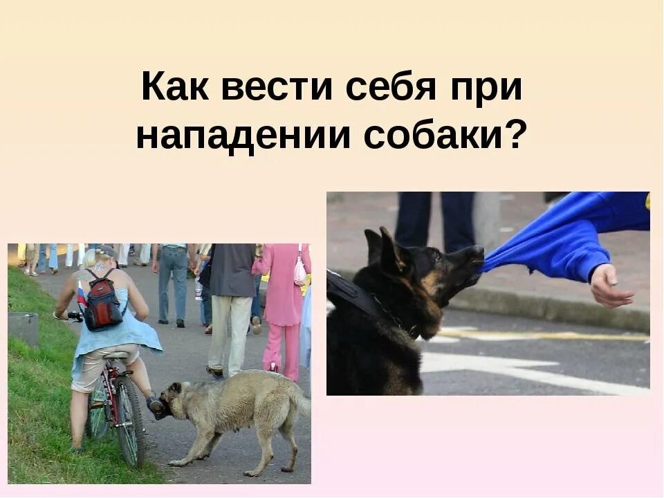 Что делают при встрече