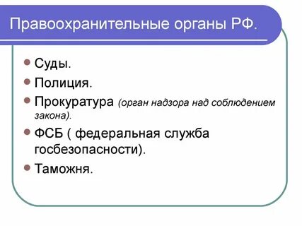 Правительство относится к правоохранительным органам