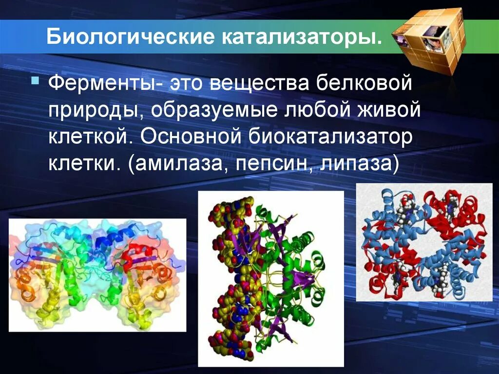 Биологические соединения в организме. Ферменты катализаторы белковой природы. Ферменты это биологические катализаторы белковой природы. Биологические катализаторы 9 класс. Ферменты это в биологии.