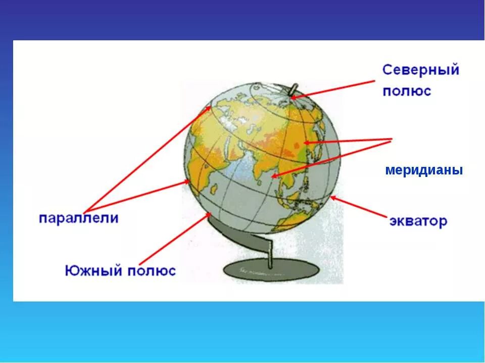 Модель земли Меридиан параллель полюс Экватор. Экватор и меридианы на глобусе. Меридианы и параллели на глобусе. Вид на глобусе для Меридиан.