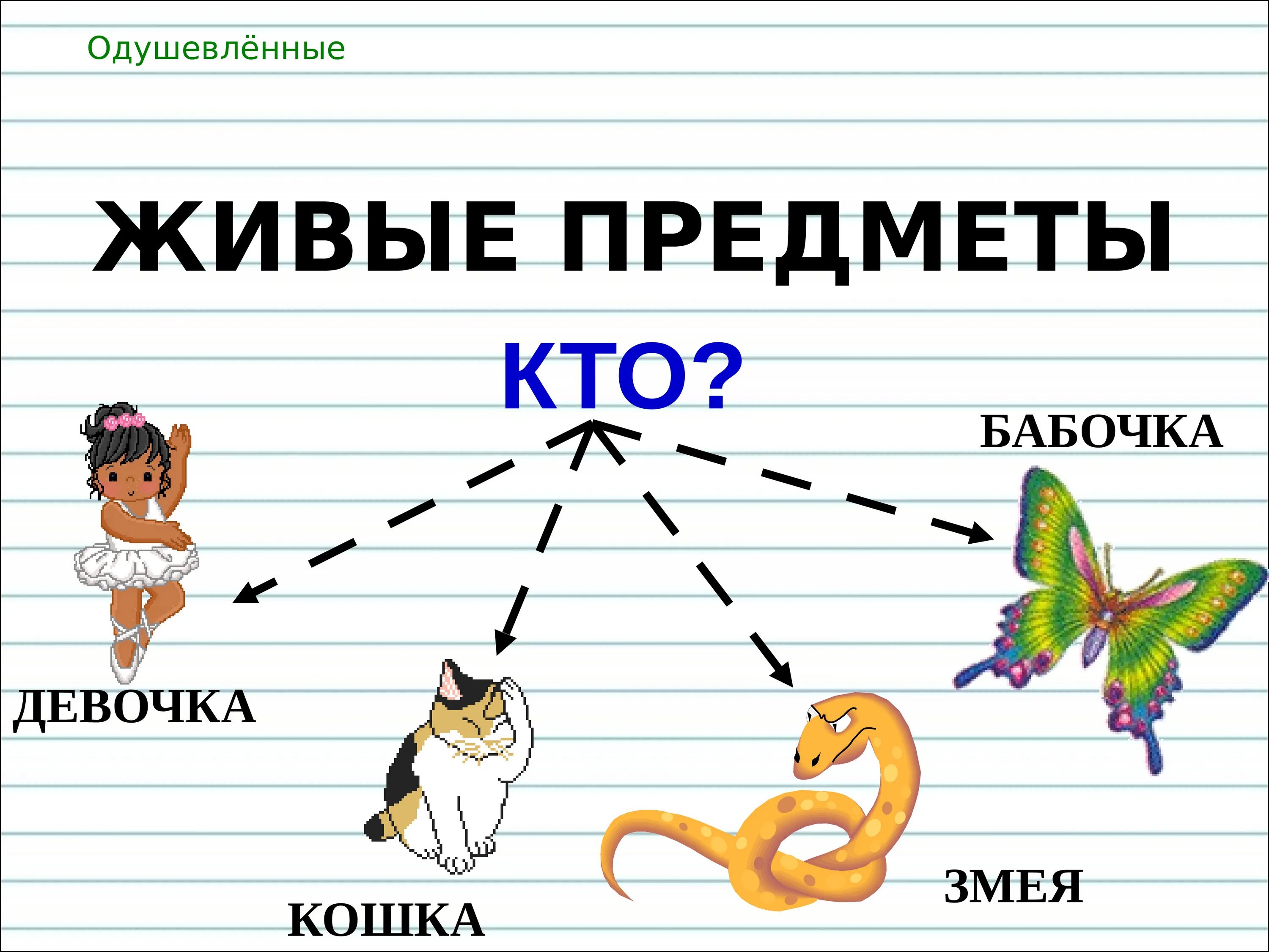 Задание по теме имя существительное. Одушевлённые и неодушевлённые имена существительные. Имя существительное презентация. Имена одушевленные и неодушевленные. Карточки задания одушевлённое и неодушевлённое имя существительное.