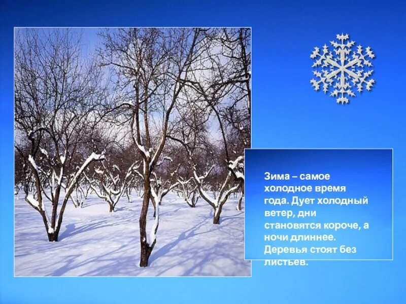 Класс времена года презентация. Времена года презентация. зима самое холодное время года. презентация времена года зима. презентация по временам года.