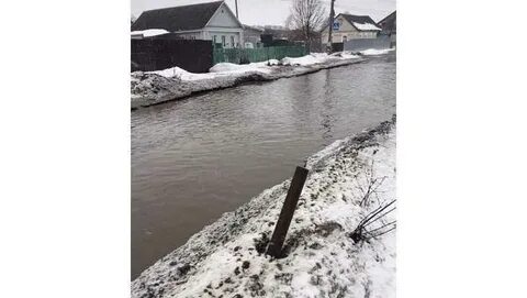 Чайковичи