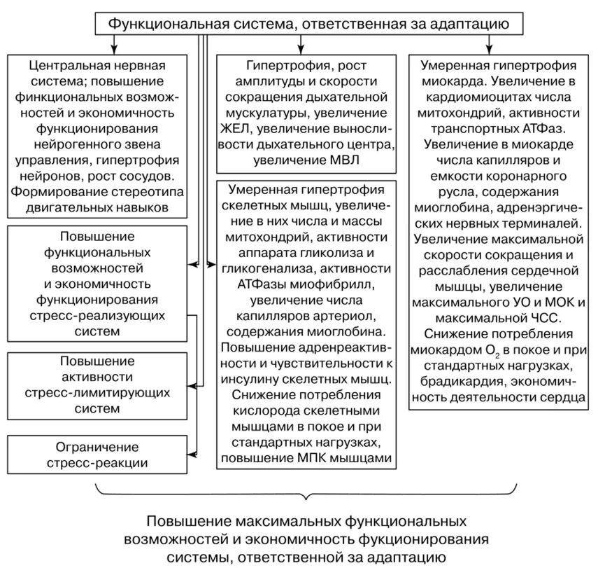 Функциональная система адаптации. Дайте характеристику функциональным системам адаптации.. Вид адаптации функциональная. Звенья системы адаптации. Изменение функциональной активности