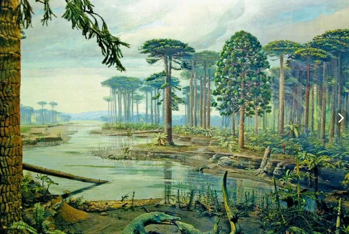 Мезозойская флоры. Юрский период мезозойской эры. мезозойская эра триасовый юрский. мезозойская эра юрский период растения. триасовый период мезозойской эры.