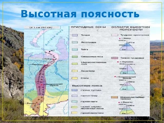 Природная зона россии области высотной поясности. Природные зоны Урала Урала. Природные зоны в горах Урала. Природные зоны Урала на карте. Уральские горы зоны.