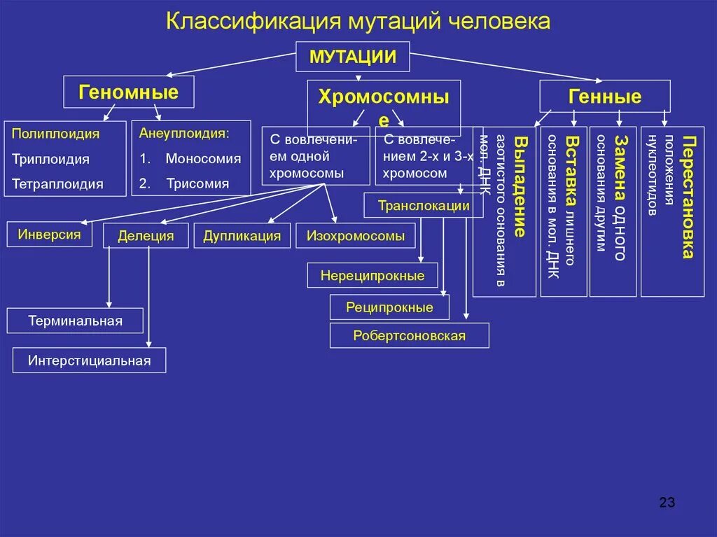 Мутационная изменчивость возникает. Классификация генных мутаций таблица. Таблица классификация мутаций 9 класс. Схема классификация геномных мутаций. Схема классификации мутаций хромосомные геномные.