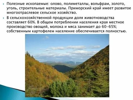 История приморского края кратко