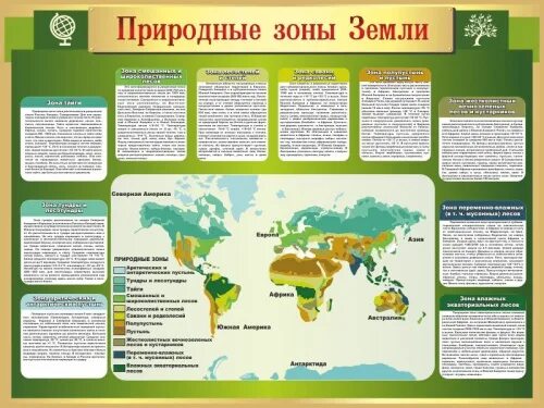 Растительность природных зон земли 7 класс биология. Стенд природные зоны. Природные зоны земли. Стенды в кабинет естествознания. Природные зоны России стенд.