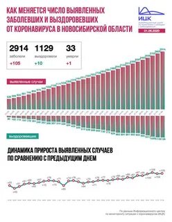 Новосибирская область статистика