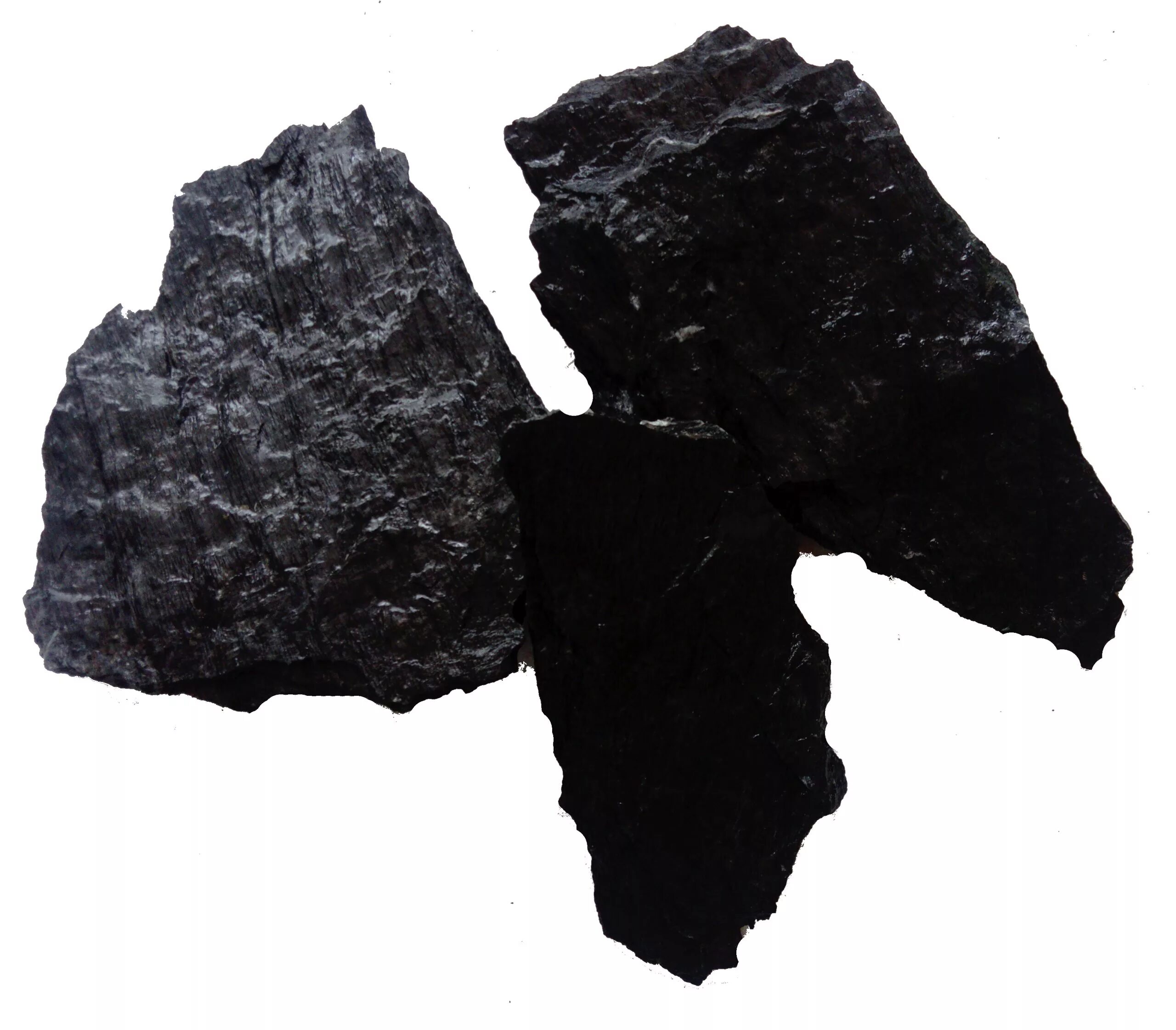 Сланец уголь. Slate oil shale rock. Сланцы горючие это минеральный ресурс. Горючие сланцы камень. Демидовский кирпич арабика.