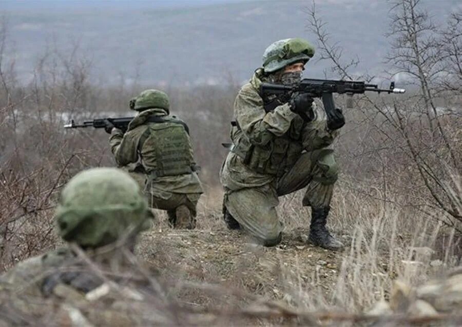 Барс боевой армейский