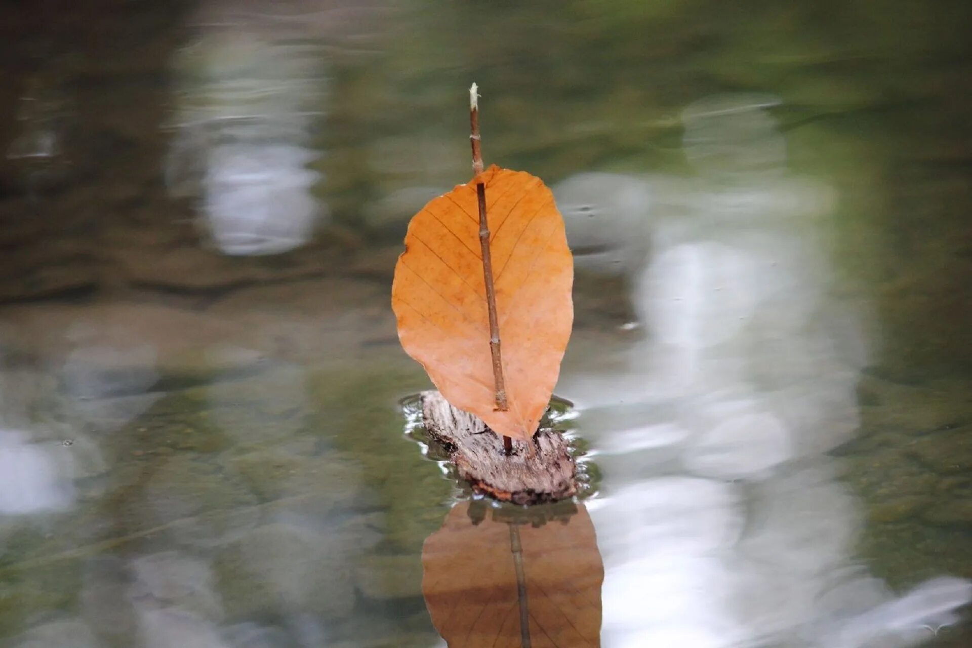 Кораблик из листьев. Кораблик из листьев. Поделка из листьев кораблик. Кораблик из коры. Корабль из листьев поделка.