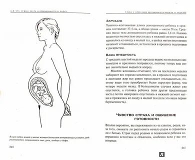 Беременность и роды 9 класс биология конспект