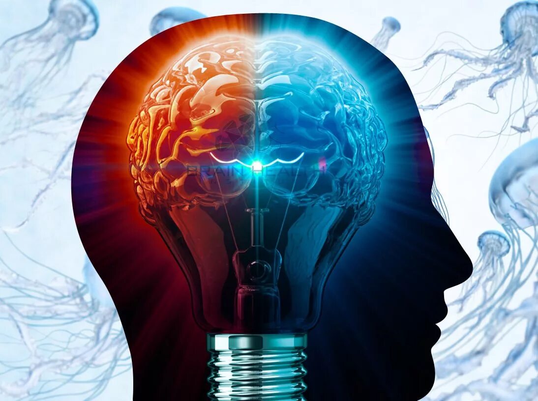 Мозг человека как улучшить работу. Лампочка мозг. Мозг энергия. Энергетика мозга. Мозги в лампочке.