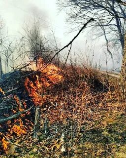 Туманы образующиеся за счет дыма