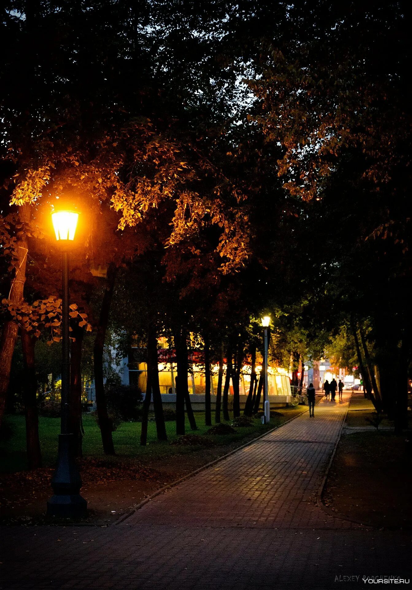 Фото парков вечером