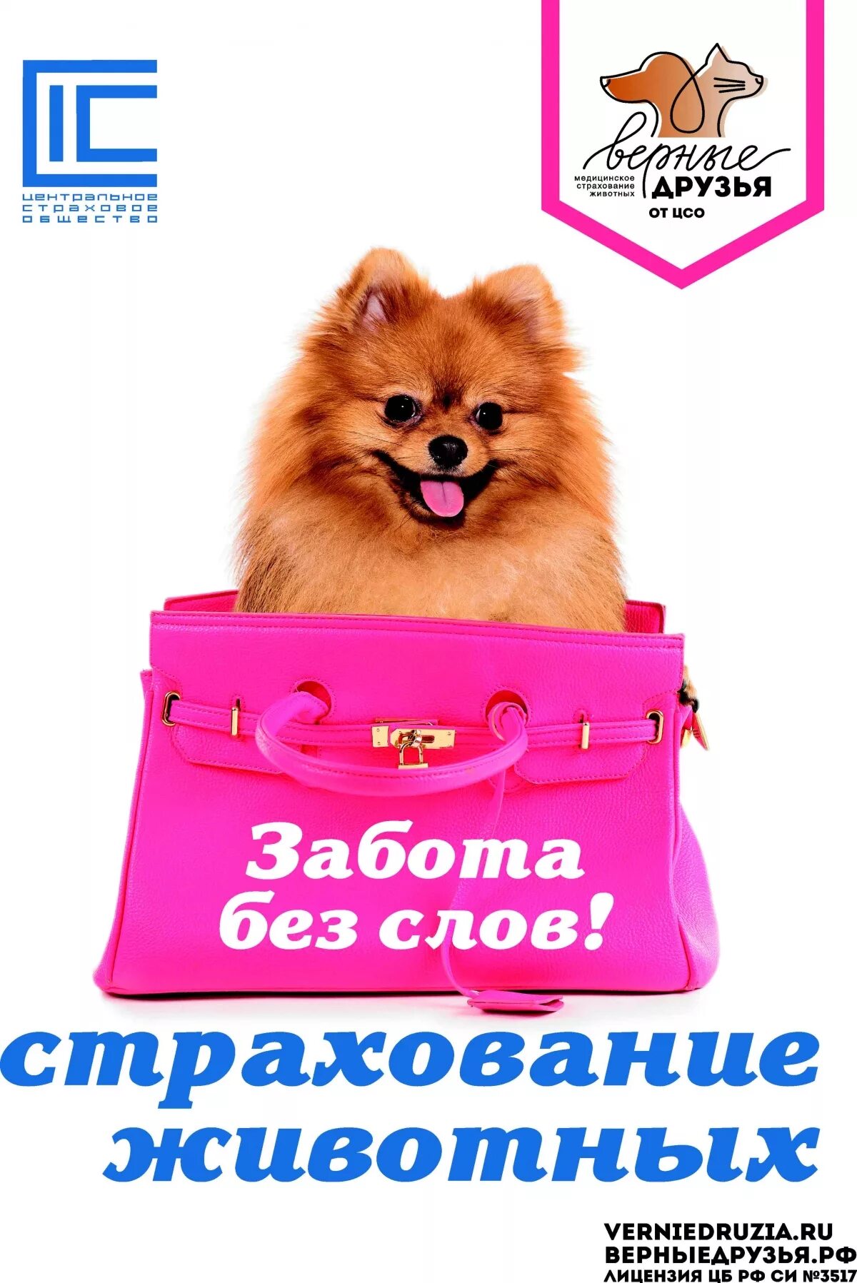 Страхование животных. Страхование собак. страховка собаки.
