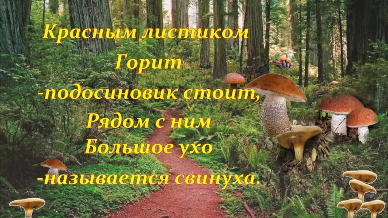 Стихи про грибы 2 класс чтение. Стихотворение про осенний гриб. Стихи про грибы для детей 5-6. Осенние грибы стихи. Сказка о грибах для дошкольников.