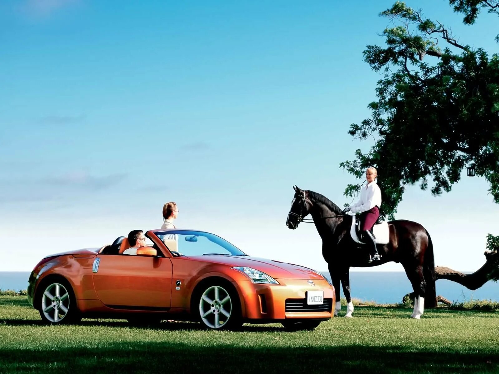 Бренд на коне. Машина с лошадкой. Кабриолет с лошадью. Конь и автомобиль. Фотосессия с лошадью и машиной.