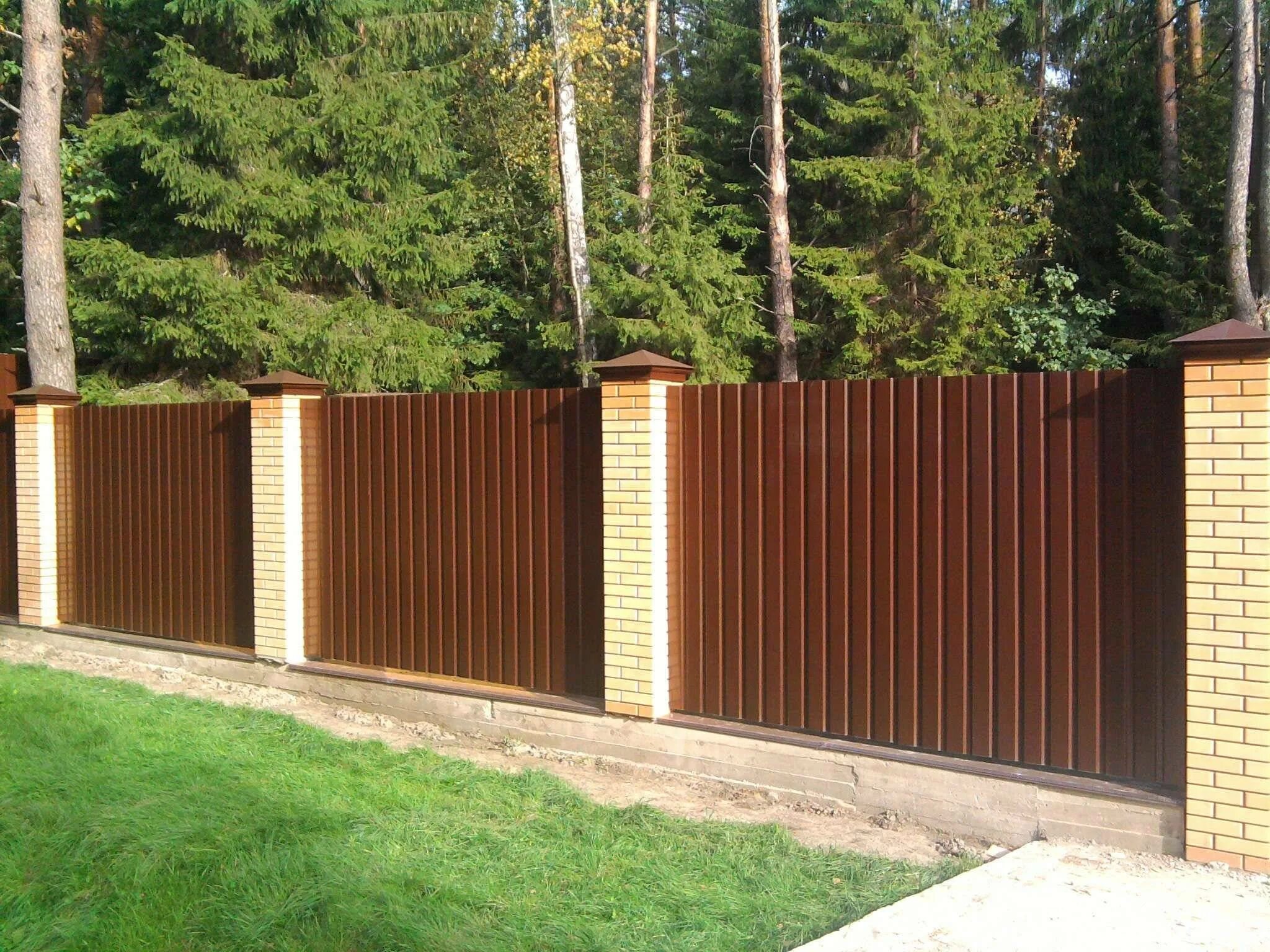 Забор с8 8017. Забор из профиля металлического. Забор на дачном участке. Ограждение из профлиста с10-1150. Профлист для забора.