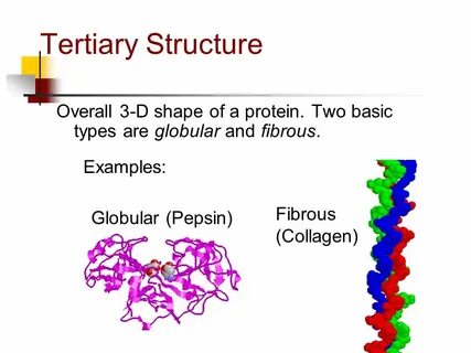 Example info
