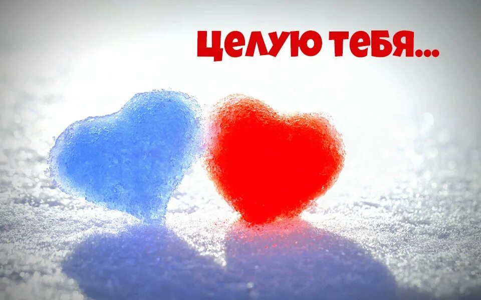 Люблю тебя целую нежно. Целую тебя. Целуя тебя. Я тебя целую. Люблю тебя целую.