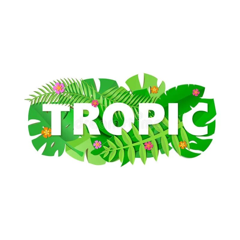 Тропики слово. Tropic надпись. Название со словом тропический. Жареные тропики надпись.