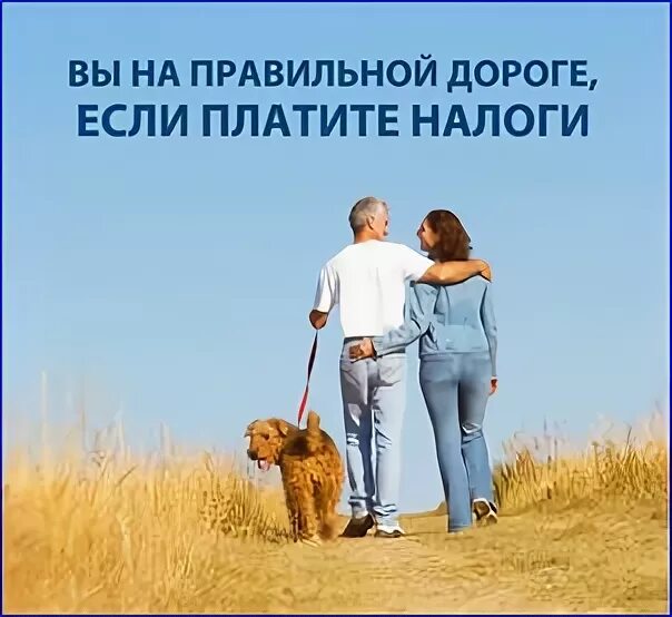 Оплати налоги и спи спокойно. За все нужно платить. Оплати долги и спи спокойно картинка. Заплати налоги и живи спокойно реклама. Плати налоги и живи спокойно реклама.