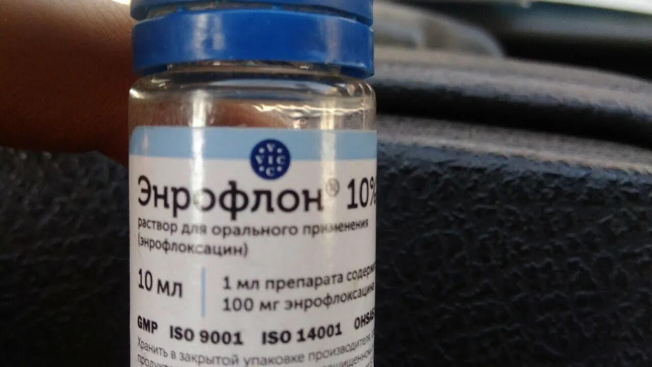 Энрофлон 10% антибиотик 10мл. Энрофлон 10 инструкция по применению. Антибиотик ветеринарный энрофлон. Энрофлокс 10. 5.