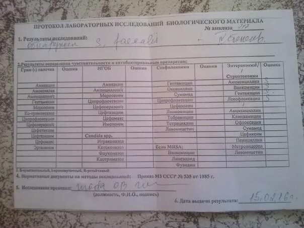Enterococcus faecalis 10 4 кое мл
