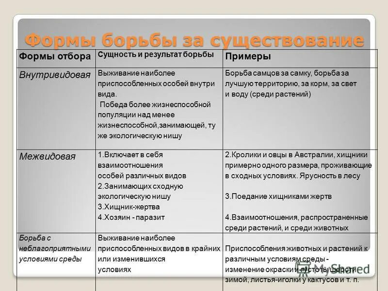 Формы борьбы за существование. Форма борьбы результат борьбы примеры. Результат борьбы за существование. Борьба за существование и естественный отбор таблица. Сущность отбора естественный отбор.