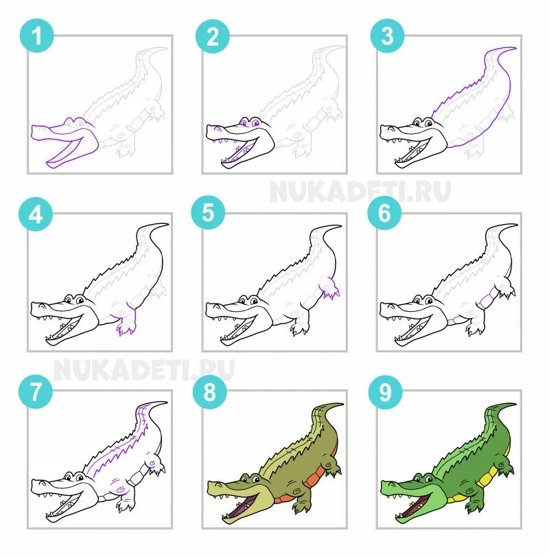 Поэтапное рисование крокодила для дошкольников. Поэтапное рисование крокодила для детей. Поэтапное рисование крокодила. Поэтапное рисование крокодила. Поэтапное рисование крокодила для дошкольников.
