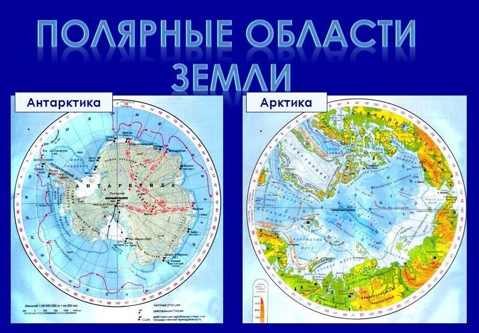 Какое полушарие не относится к антарктиде