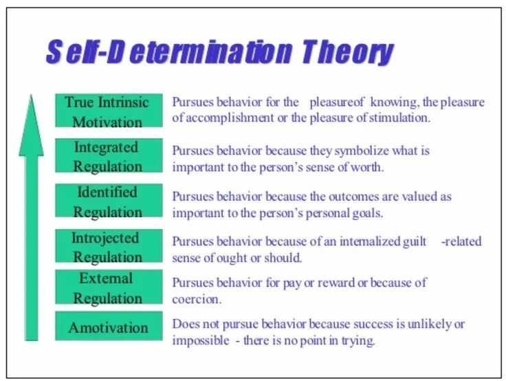 Self method. Self-determination Theory. Self-determination Theory (SDT). Professional self determination. Self Regulation.