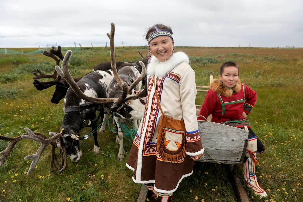 Ненцы Ханты манси. Общины коренных малочисленных народов РФ. Ненцы Ненецкий автономный округ. Ненцы Таймыр. Народы северного края