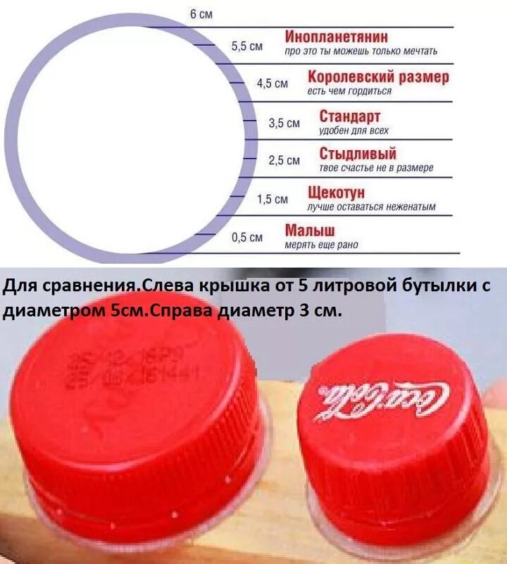 Какие предметы в члене